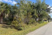 Undeveloped Land for sale in Flagler County, Florida