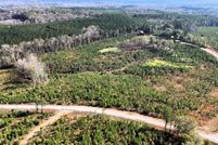 Undeveloped Land for sale in Bullock County, Alabama