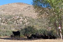 Undeveloped Land for sale in Yavapai County, Arizona