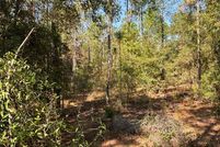 Undeveloped Land for sale in Gilchrist County, Florida