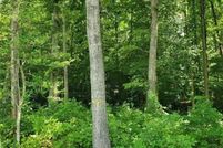 Undeveloped Land for sale in Chesterfield County, Virginia