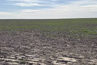 Undeveloped Land for sale in Sheridan County, Kansas