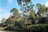 Property for sale in Flagler County, Florida