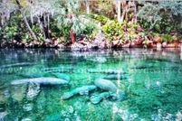 Property for sale in Volusia County, Florida