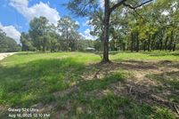 Undeveloped Land for sale in Gilchrist County, Florida