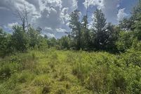 Undeveloped Land for sale in Calcasieu Parish, Louisiana