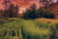 Property for sale in Lincoln County, Washington