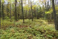 Property for sale in Sawyer County, Wisconsin