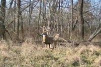 Property for sale in Ray County, Missouri