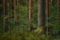 Property for sale in Dutchess County, New York