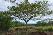 Undeveloped Land for sale in Hawaii County, Hawaii