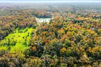 Undeveloped Land for sale in Volusia County, Florida