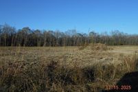 Undeveloped Land for sale in Grant County, Arkansas