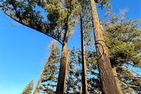 Property for sale in Butte County, California