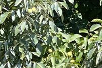 Property for sale in Sutter County, California