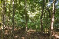 Undeveloped Land for sale in Johnson County, Illinois