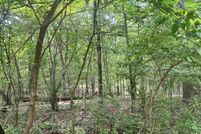 Property for sale in Jackson County, Illinois