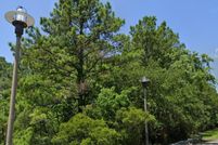 Undeveloped Land for sale in Berkeley County, South Carolina