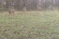 Property for sale in Appanoose County, Iowa