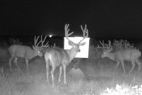 Property for sale in Cochran County, Texas