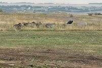 Ranch Property for sale in Mountrail County, North Dakota