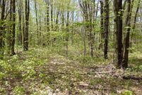 Undeveloped Land for sale in Otsego County, Michigan
