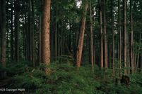 Undeveloped Land for sale in Carbon County, Pennsylvania