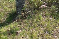 Property for sale in Grundy County, Tennessee