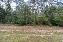 Undeveloped Land for sale in Citrus County, Florida