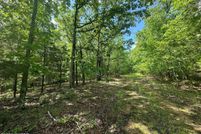 Undeveloped Land for sale in Decatur County, Tennessee