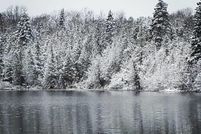 Farm Property for sale in Luce County, Michigan