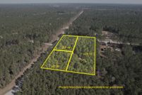 Undeveloped Land for sale in Walker County, Texas