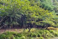 Undeveloped Land for sale in Pike County, Pennsylvania