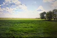 Undeveloped Land for sale in Grayson County, Texas