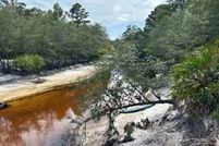 Ranch Property for sale in Charlton County, Georgia