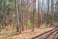 Undeveloped Land for sale in Gilmer County, Georgia
