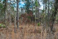 Property for sale in Levy County, Florida