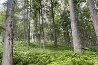 Waterfront Property for sale in Sullivan County, New York