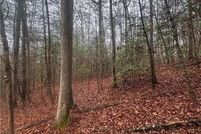 Undeveloped Land for sale in Gilmer County, Georgia