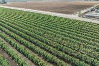 Undeveloped Land for sale in Kings County, California