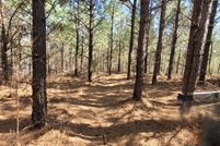 Undeveloped Land for sale in Stewart County, Tennessee