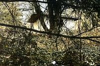 Property for sale in Snohomish County, Washington