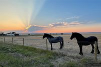 Undeveloped Land for sale in Cascade County, Montana