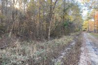 Undeveloped Land for sale in Angelina County, Texas