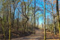 Undeveloped Land for sale in Blount County, Alabama