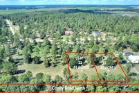 Undeveloped Land for sale in Crisp County, Georgia