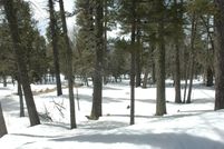 Undeveloped Land for sale in Colfax County, New Mexico