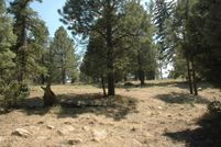 Property for sale in Colfax County, New Mexico
