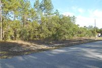 Undeveloped Land for sale in Citrus County, Florida