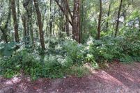 Undeveloped Land for sale in Citrus County, Florida